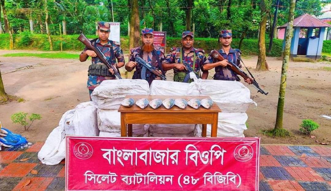 ভারতে পাচারের সময় ইলিশ জব্দ