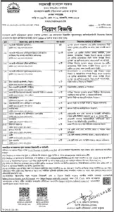 প্রধান উপদেষ্টার কার্যালয়ে চাকরি, নেবে ৫২ জন