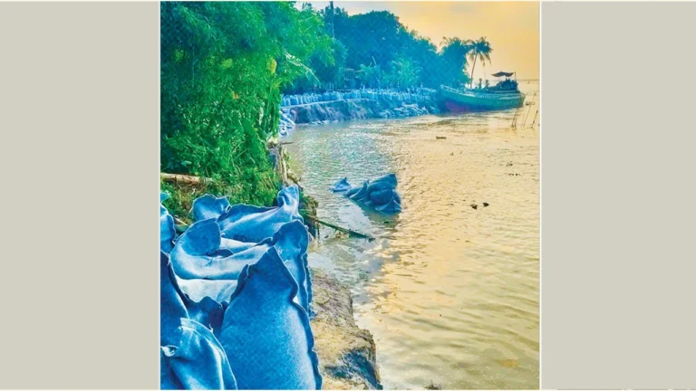 শরীয়তপুরের জাজিরায় পদ্মার তীব্র ভাঙনে দিশেহারা হাজারো মানুষ, বিলীন বসতবাড়ি ও স্থাপনা