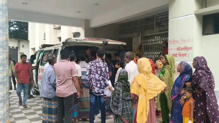 ঝিনাইদহে ঘাস কাটার মেশিনে বিদ্যুৎস্পৃষ্ট হয়ে স্বামী-স্ত্রীর মর্মান্তিক মৃত্যু