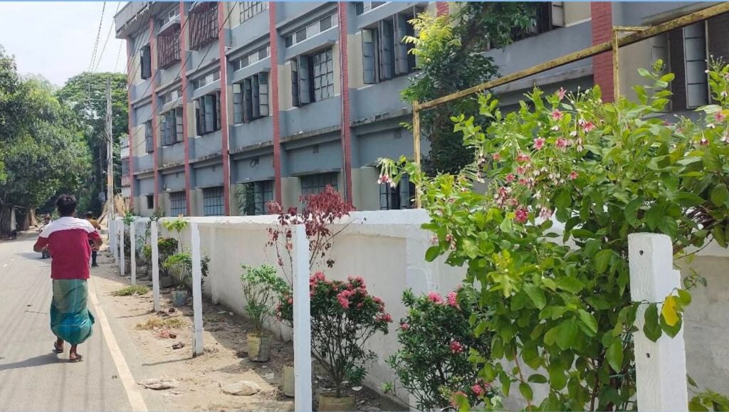 ফরিদপুরের সদরপুরে বাবুরচর উচ্চ বিদ্যালয়ের বাউন্ডারিতে এখন ফুলের বাগান