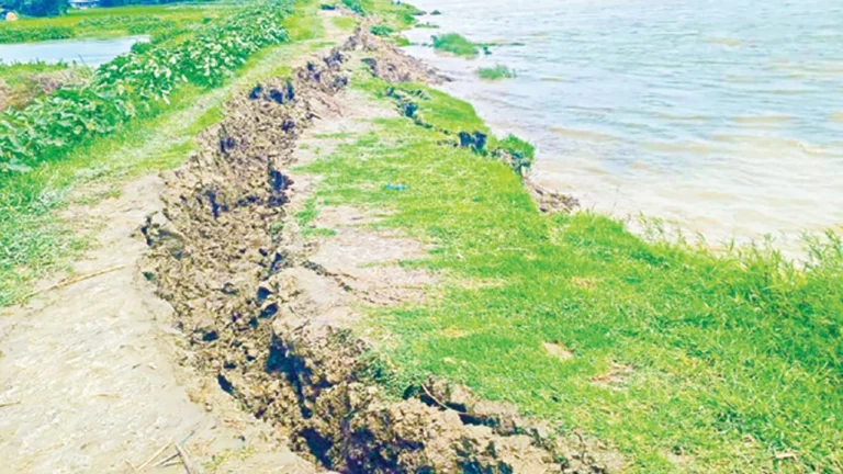 আনোয়ারায় শঙ্খ নদীর বেড়িবাঁধে বড় ফাটল, প্লাবনের আশঙ্কায় স্থানীয়রা