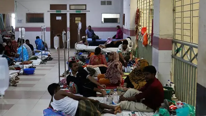অক্টোবরে ডেঙ্গুর প্রকোপ আরও বাড়ার আশঙ্কা বিশেষজ্ঞদের