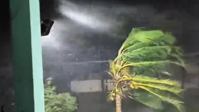 ঘূর্ণিঝড় ‘অর্ণব’-এর আঘাত: অন্ধ্রে ১৫০ কিমি বেগে তাণ্ডব