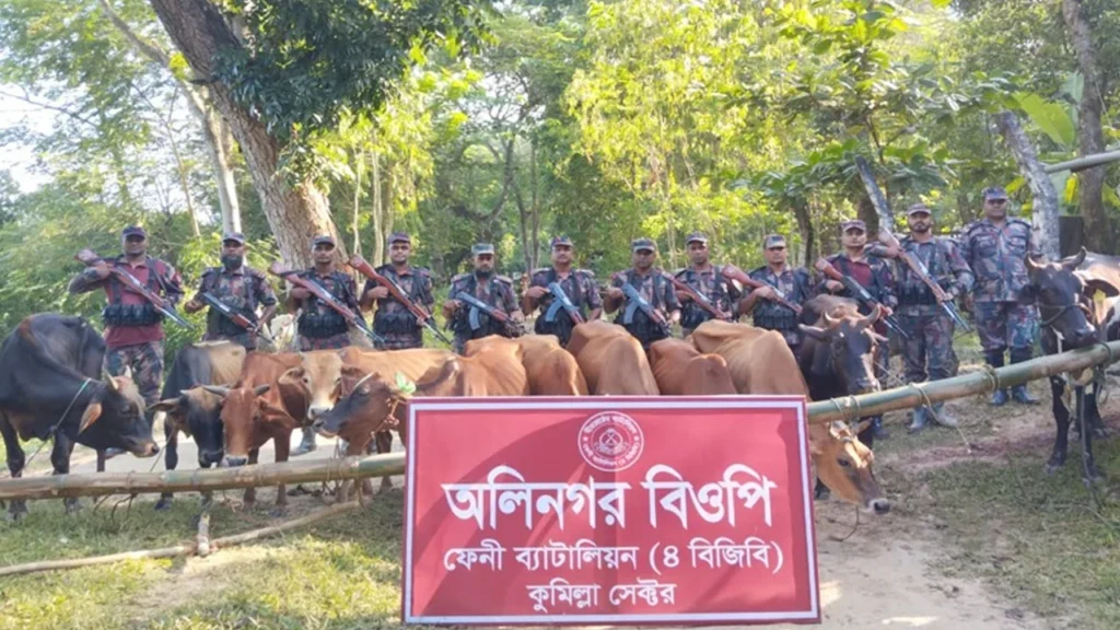 ফেনী ও জোরারগঞ্জ সীমান্তে বিজিবির অভিযান